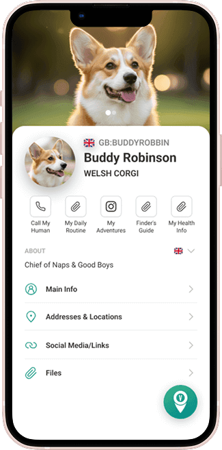 VayaPin mobile app