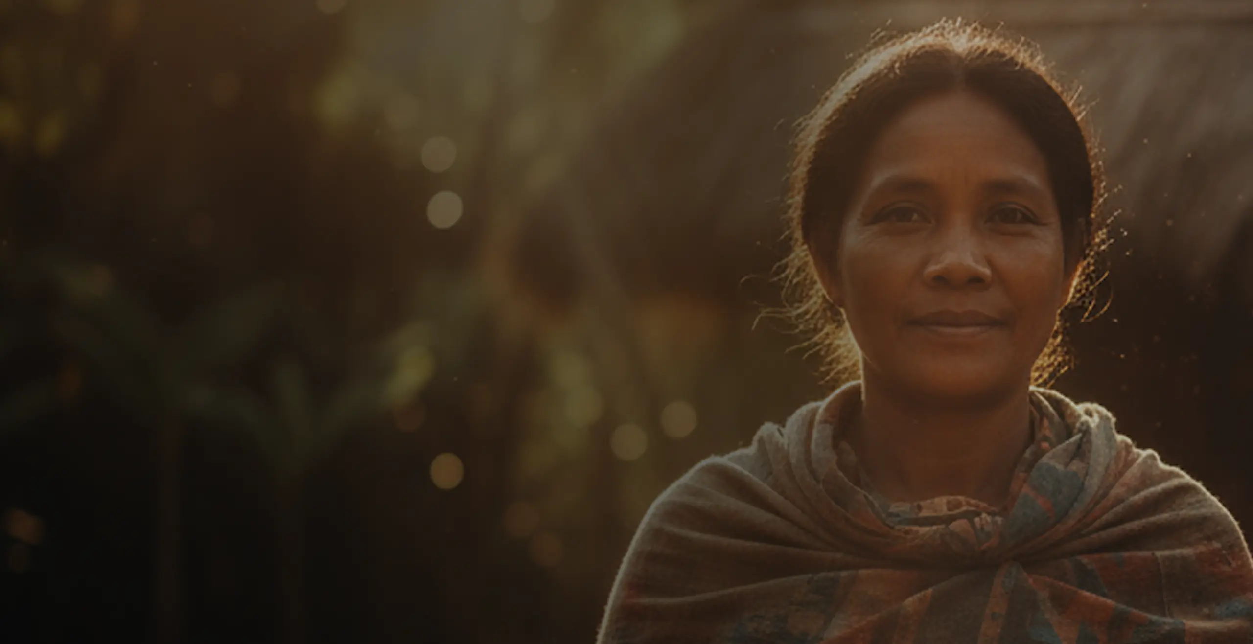 NGO hero